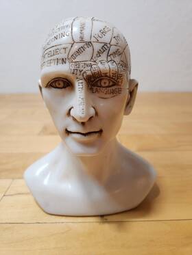 Azuregreen Rh711 Phrenology Head 6 Inch Statue Figurine Science Psychology Medical History Decor