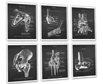 Orthopedic Decor Poster Set Of 6 Unframed Medical Anatomy Art Prints New. Price: $60.00.